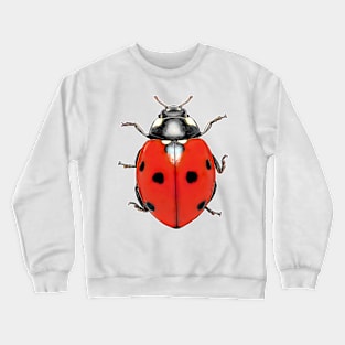 Ladybird Coccinella septempunctata Crewneck Sweatshirt